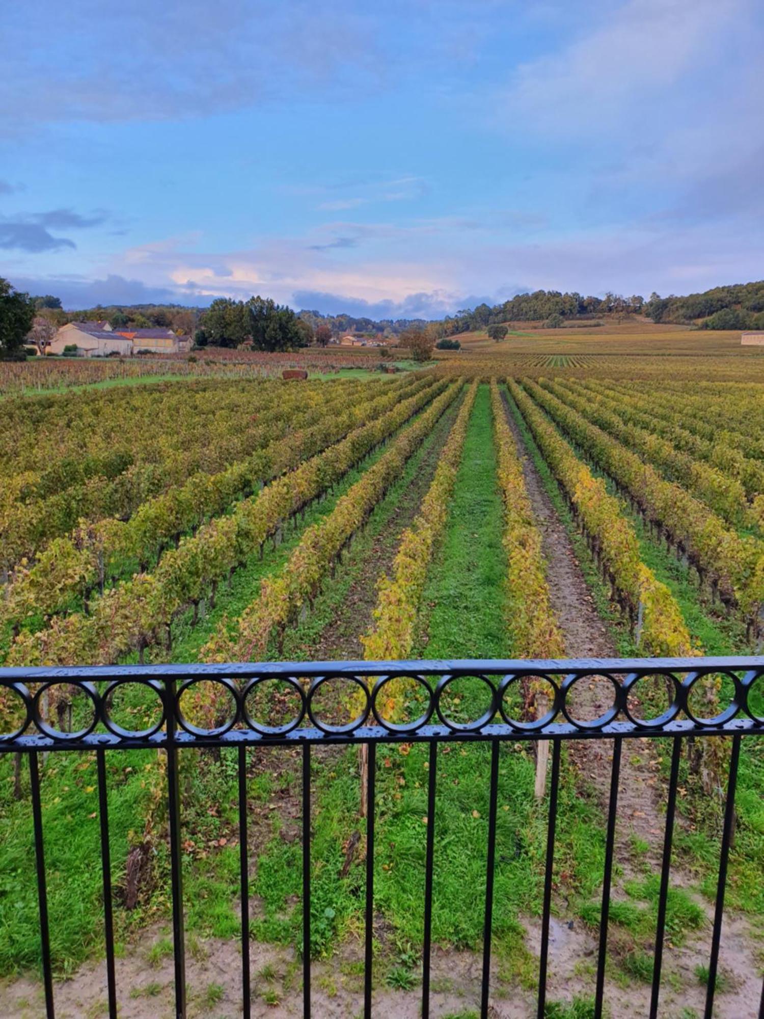 D'hote & Chateau Le Conte - Emilion Guest house 4*